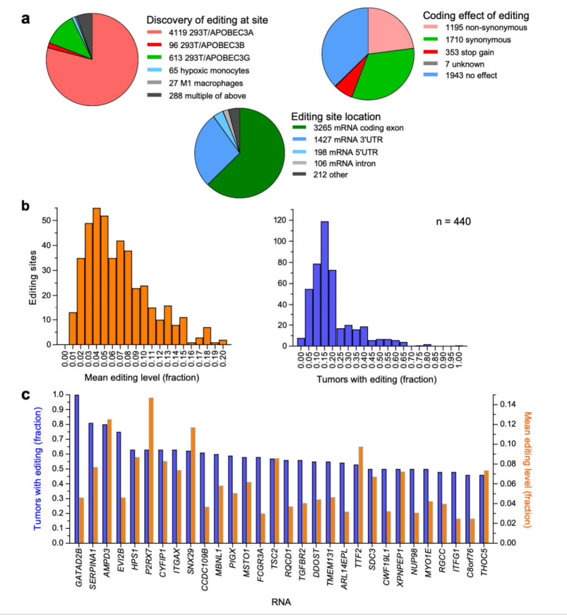 如何做肿瘤免疫微环境的研究？这篇文章会告诉你！